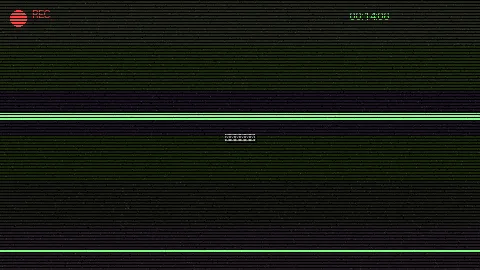 海边日落实录 - 法国啄木鸟电影在线观看完整版 自然风光